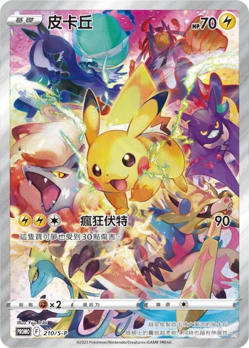 Pokemon TCG Precious Collector Box Chinese